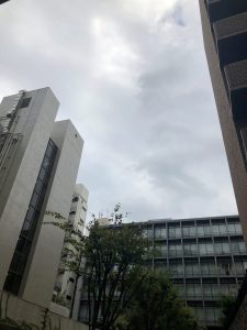 【本社】台風過ぎて