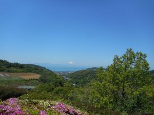 つつじドライブ★湘南佐島★